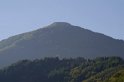 Coppola di Paola 2